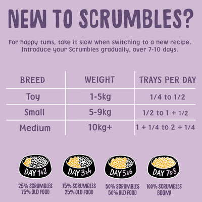 Turkey Wet Dog Food Feeding