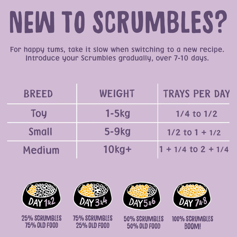 Turkey Wet Dog Food Feeding