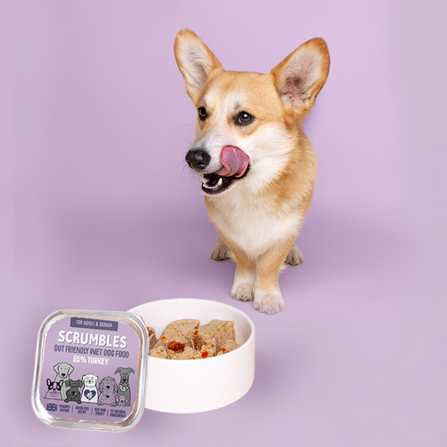 Turkey 150g Wet Dog Food