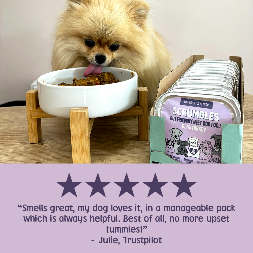 Turkey 150g Wet Dog Food Review