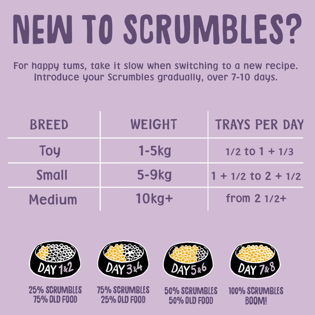 Turkey 150g Wet Dog Food Feeding