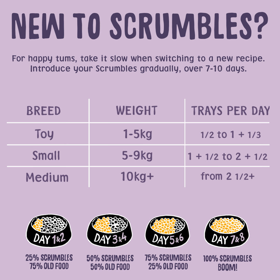 Turkey 150g Wet Dog Food Feeding