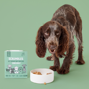 Veggie Medley Wet Dog Food Eating