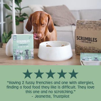 Veggie Medley Wet Dog Food Review