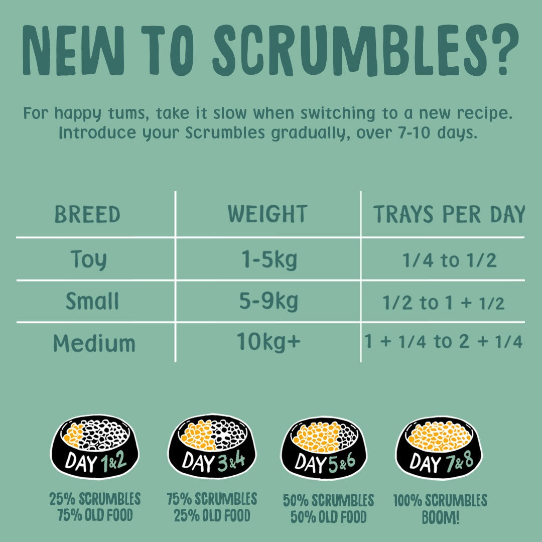 Veggie Medley Wet Dog Food Feeding