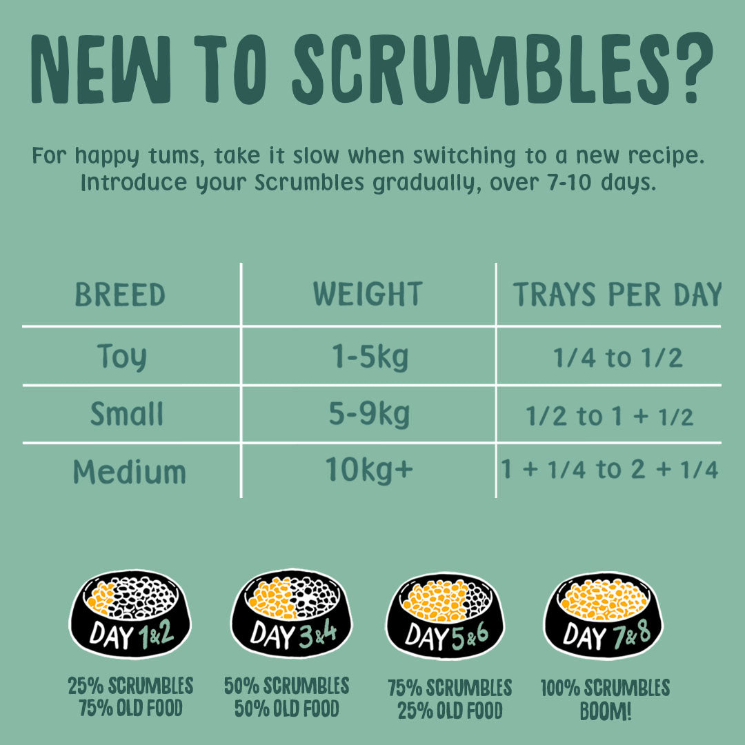 Veggie Medley Wet Dog Food Feeding