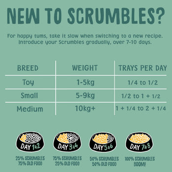 Veggie Medley Wet Dog Food Feeding