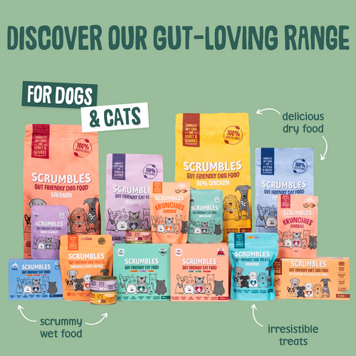 Veggie Medley Wet Dog Food