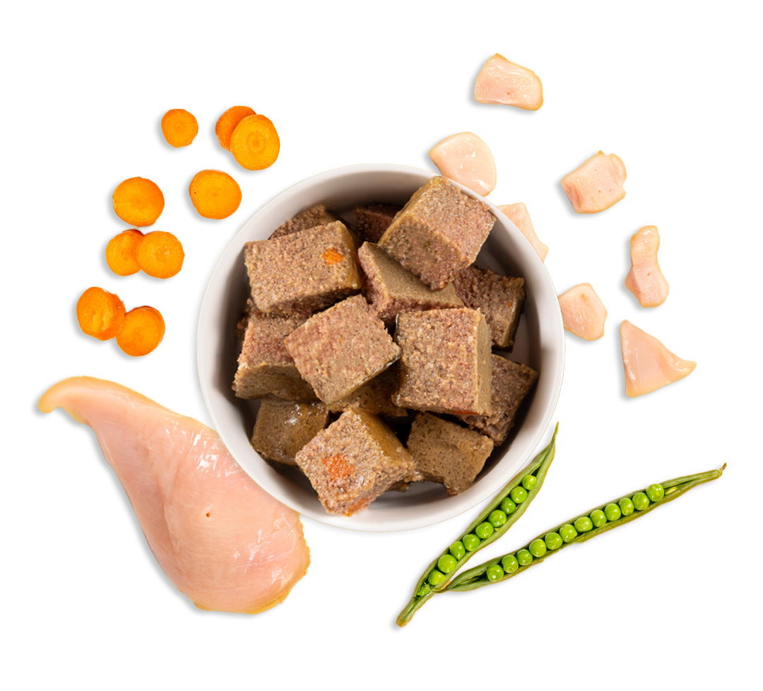 Chicken wet dog food