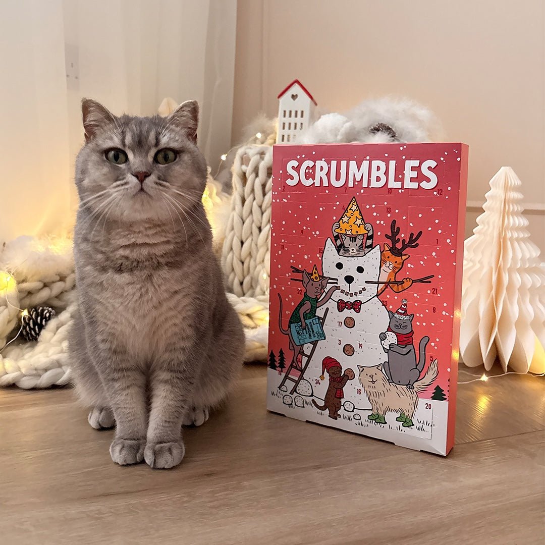 Cat Advent Calendar