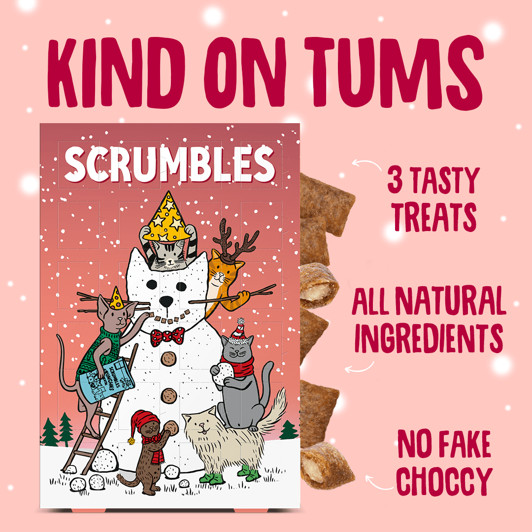 Cat Advent Calendar Gut Friendly