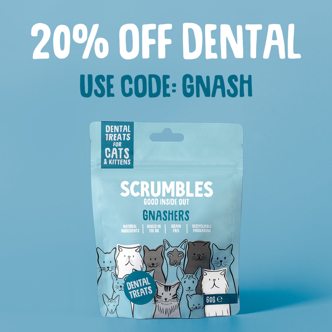 cost-of-cat-dental-cleaning-scrumbles