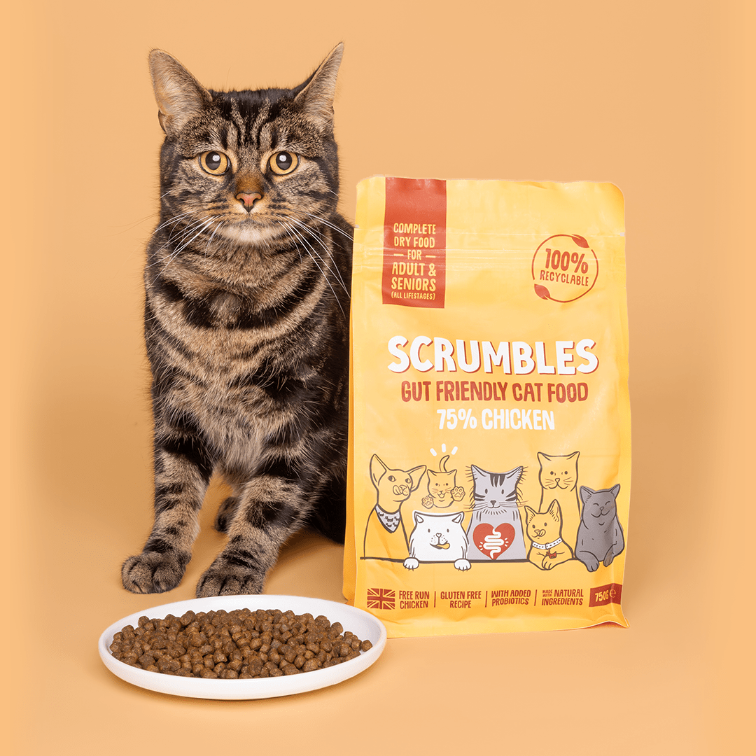 Scrumbles Chicken Dry Cat Food — product photograph