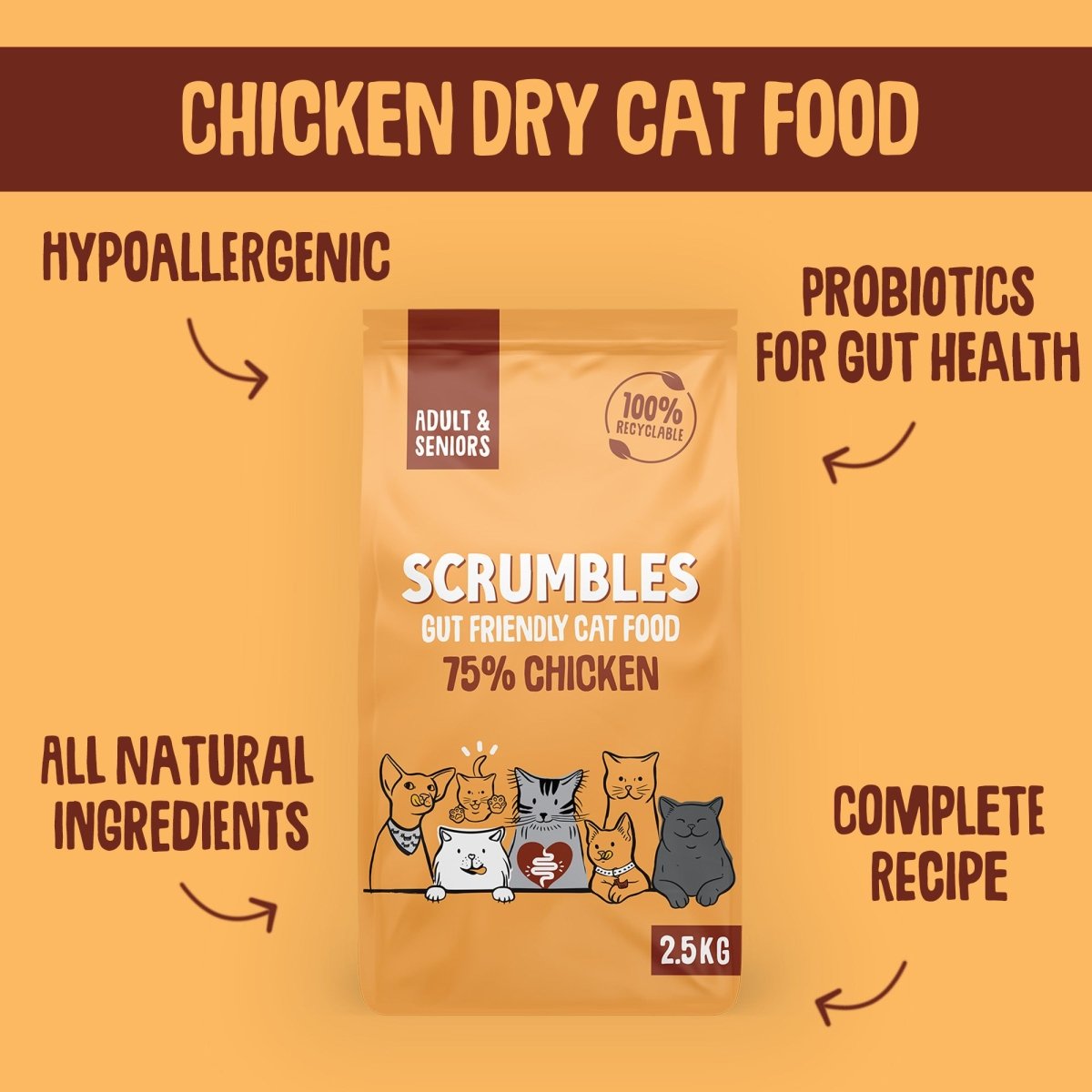 Best hypoallergenic cat food best sale