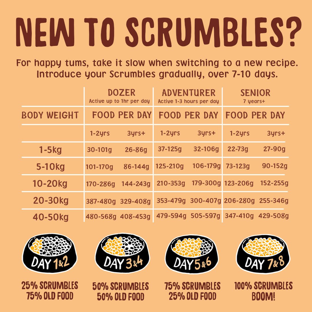 Chicken Dry Dog Food Feeding