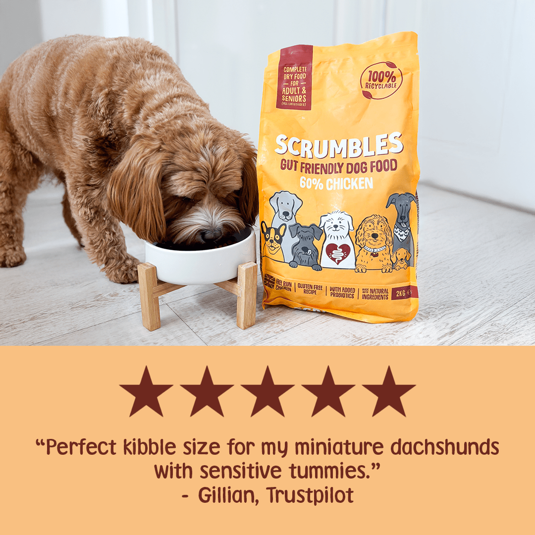 Chicken Dry Dog Food Review