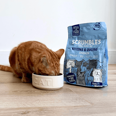 Best Kitten Food Complete Food for Kittens Scrumbles