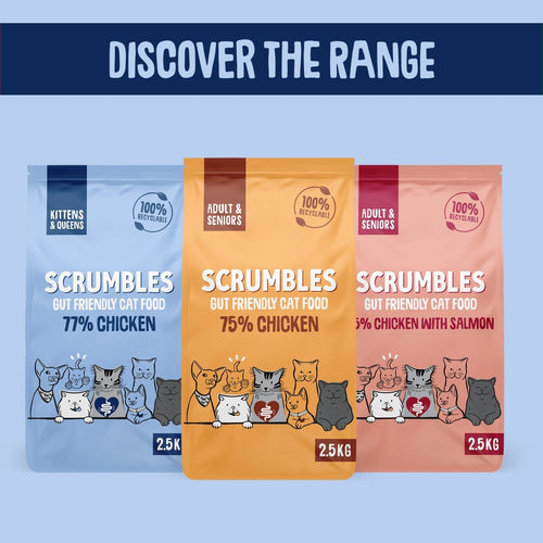 chicken-dry-kitten-food-dry-kitten-food-gluten-free-kitten-food-high-protein-kitten-food-hypoallergenic-kitten-food-1