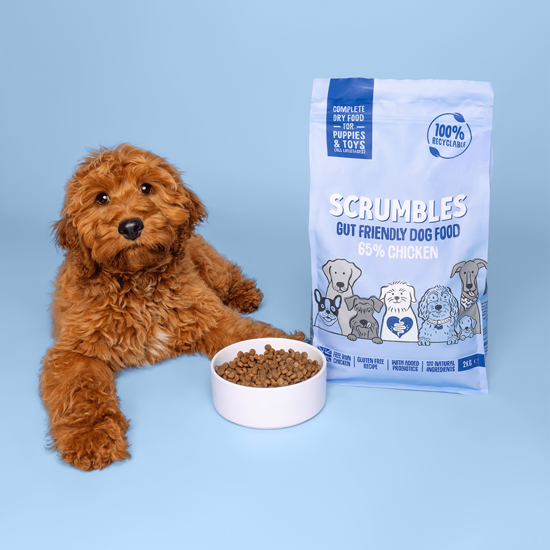 Puppy & Toy Dry Dog Food