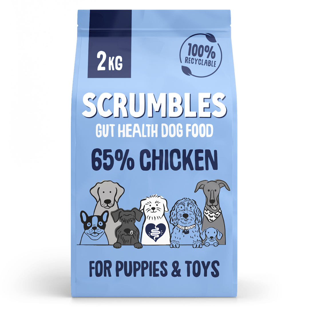 Puppy dry dog food chicken