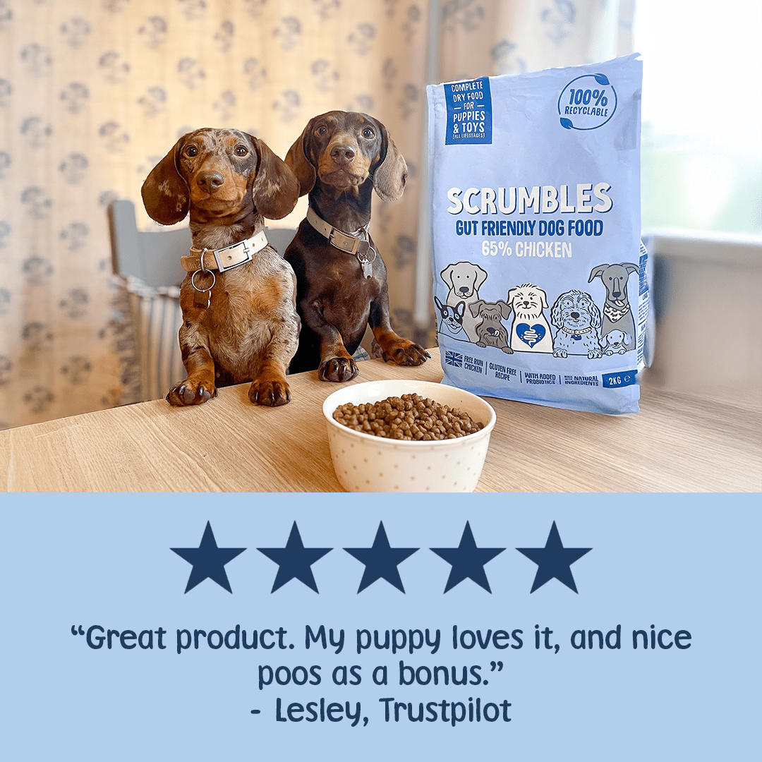 Puppy & Toy Dry Dog Food Review