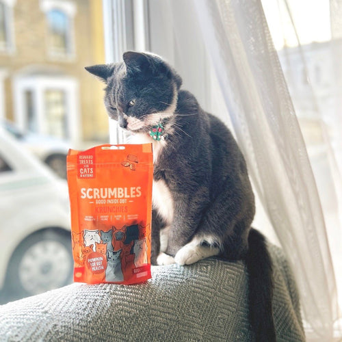 krunchies-chicken-cat-treats-hypoallergenic-gluten-free-pumpkin-high-meat-scrumbles-treats-kitten-pillow-cat-treat-1