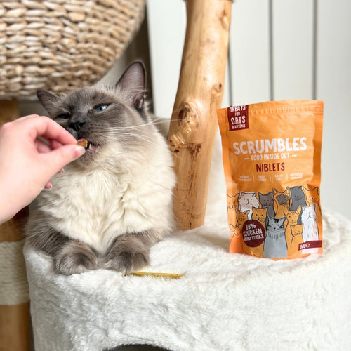 air-dried-cat-treats-high-meat-high-protein-cat-sticks-hypoallergenic-grain-free-chicken-0