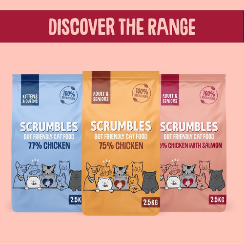 scrumbles-salmon-and-chicken-dry-cat-food-adult-cat-food-gluten-free-cat-food-high-protein-cat-food-hypoallergenic-kitten-1