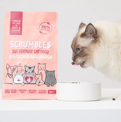 scrumbles-salmon-and-chicken-dry-cat-food-adult-cat-food-gluten-free-cat-food-high-protein-cat-food-hypoallergenic-kitten-2