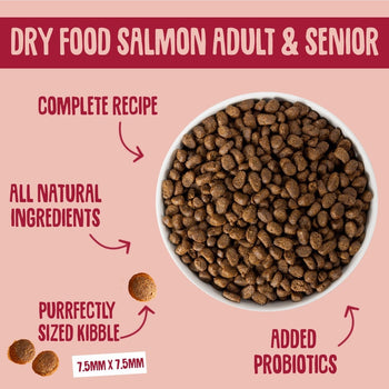 scrumbles-salmon-and-chicken-dry-cat-food-adult-cat-food-gluten-free-cat-food-high-protein-cat-food-hypoallergenic-kitten-4