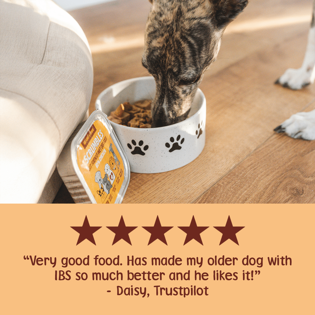 Chicken 150g Wet Dog Food Review