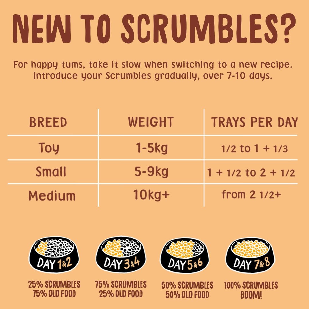 Chicken 150g Wet Dog Food Feeding