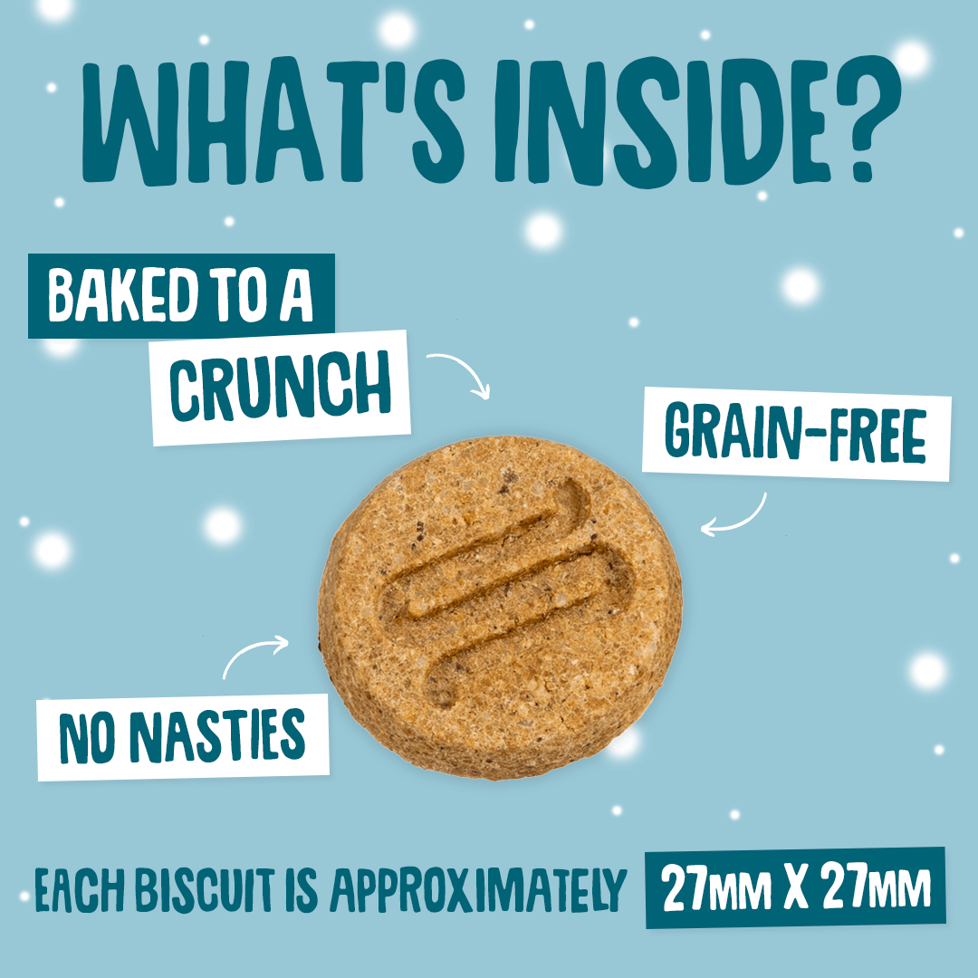 Christmas Turkey & Cranberry Softies Dog Treats Size