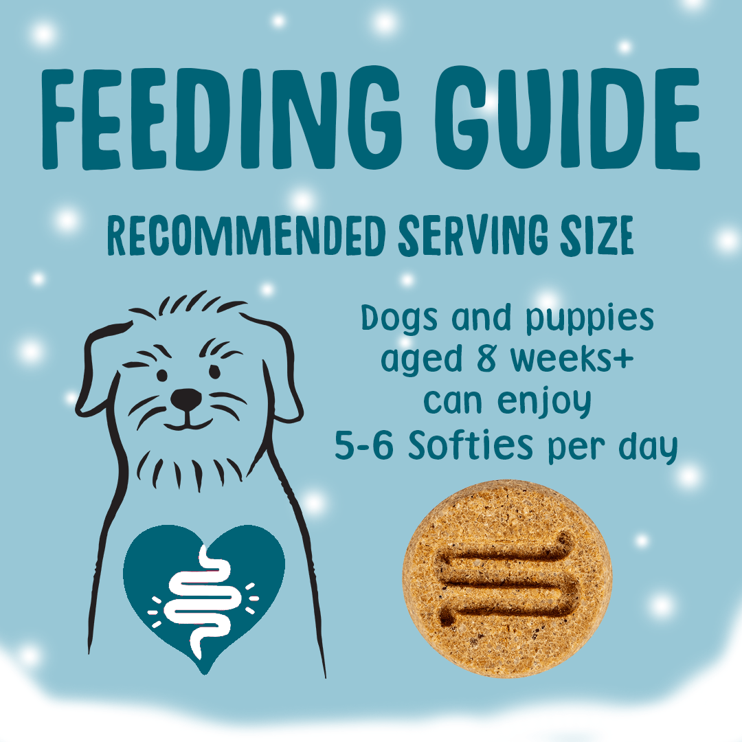 Christmas Turkey & Cranberry Softies Dog Treats Feeding