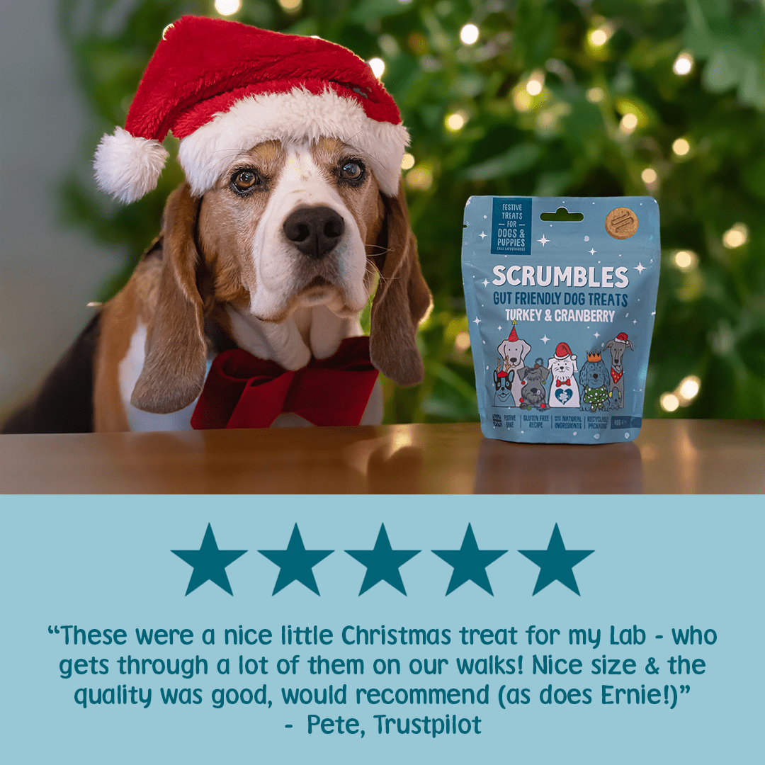 Christmas Turkey & Cranberry Softies Dog Treats Review