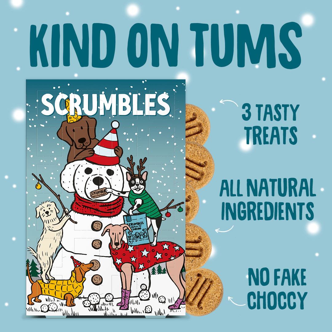 Dog Advent Calendar Gut Friendly