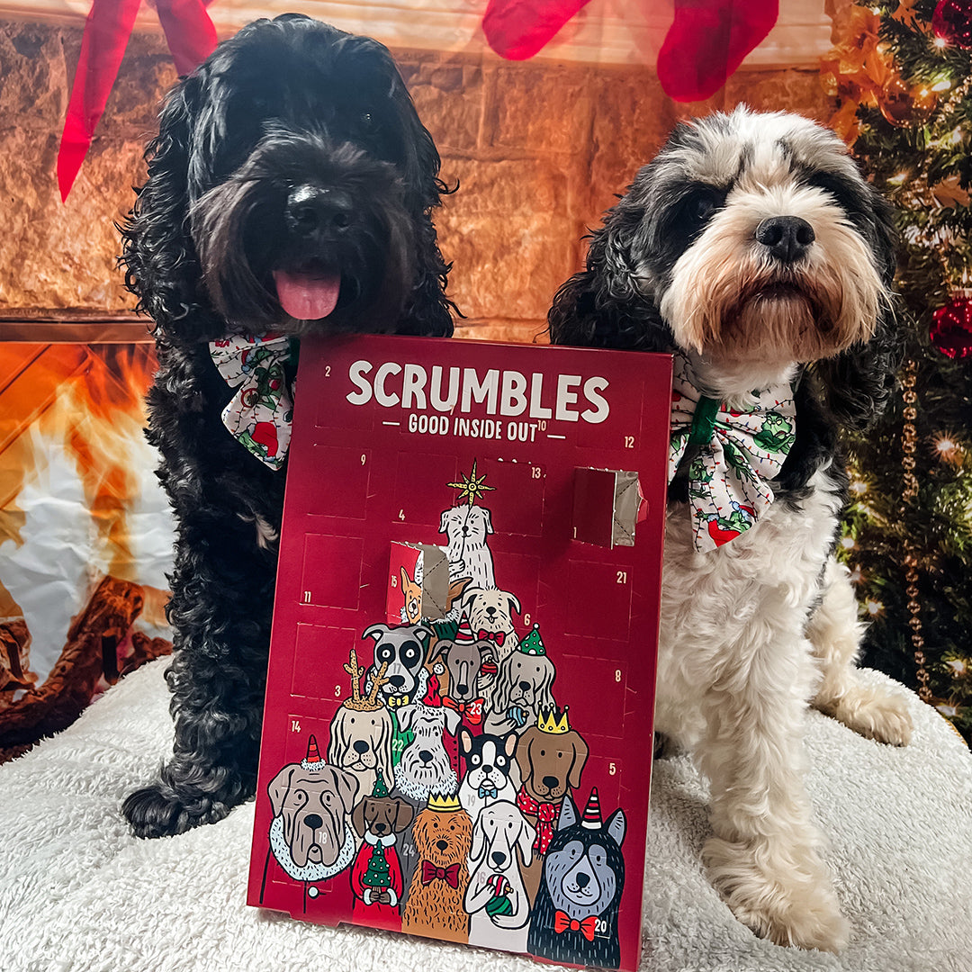 Dog christmas outlet calendar