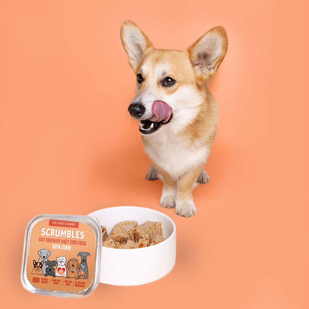 Duck 150g Wet Dog Food