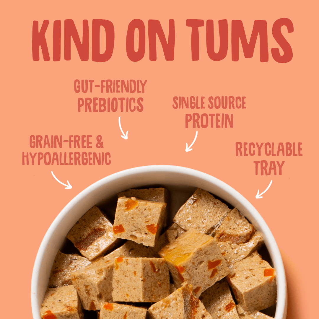 Duck 150g Wet Dog Food Gut Friendly