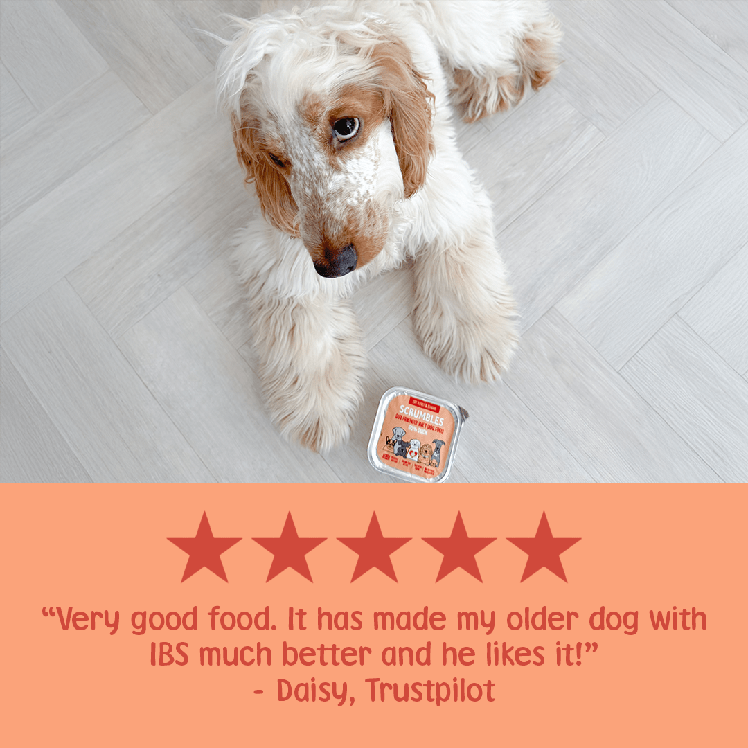 Duck 150g Wet Dog Food Review