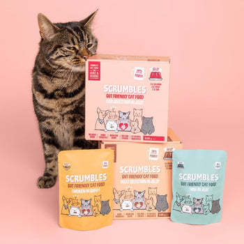 fish-in-jelly-cat-food-pouch-grain-free-high-meat-sensitive-gut-friendly