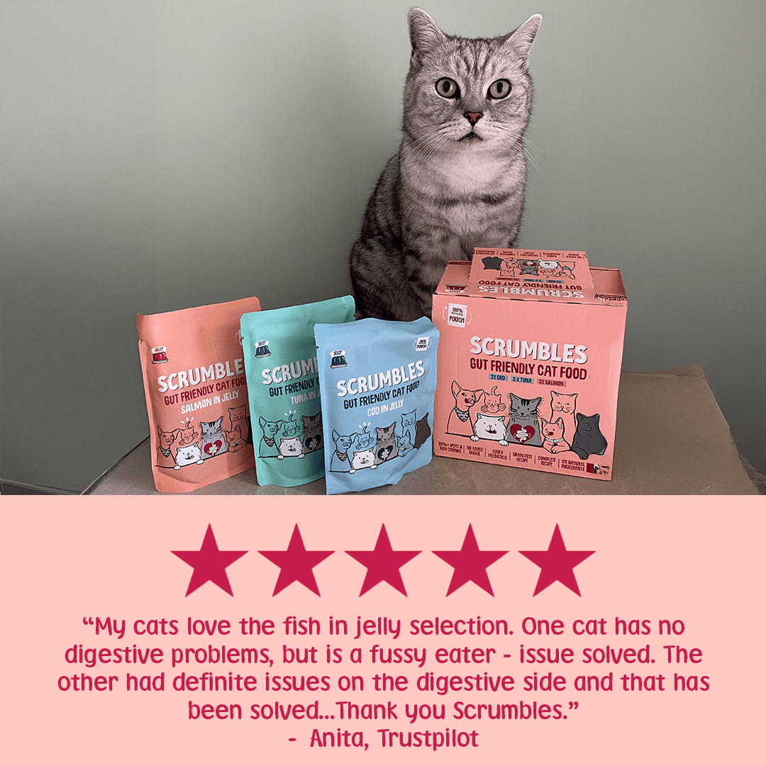 Wet Cat Pouches Fish Jelly Review