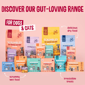 fish-in-jelly-cat-food-pouch-grain-free-high-meat-sensitive-gut-friendly