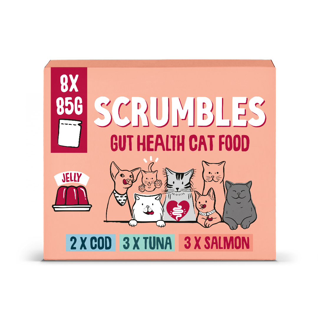 Wet Cat Pouches Fish Jelly