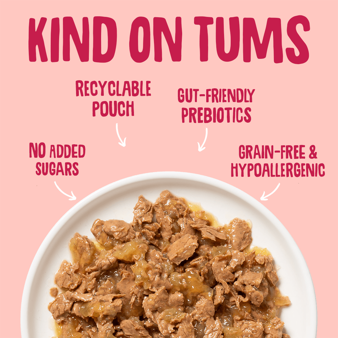 Wet Cat Pouches Fish Jelly Gut Friendly