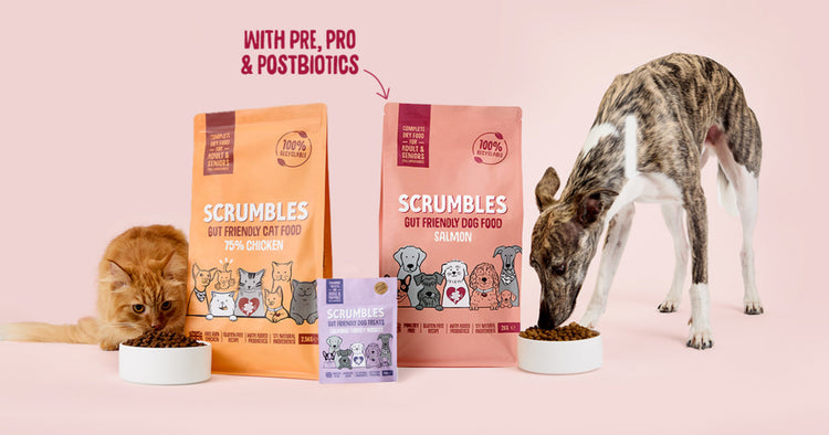 Gut friendly cat and dog food