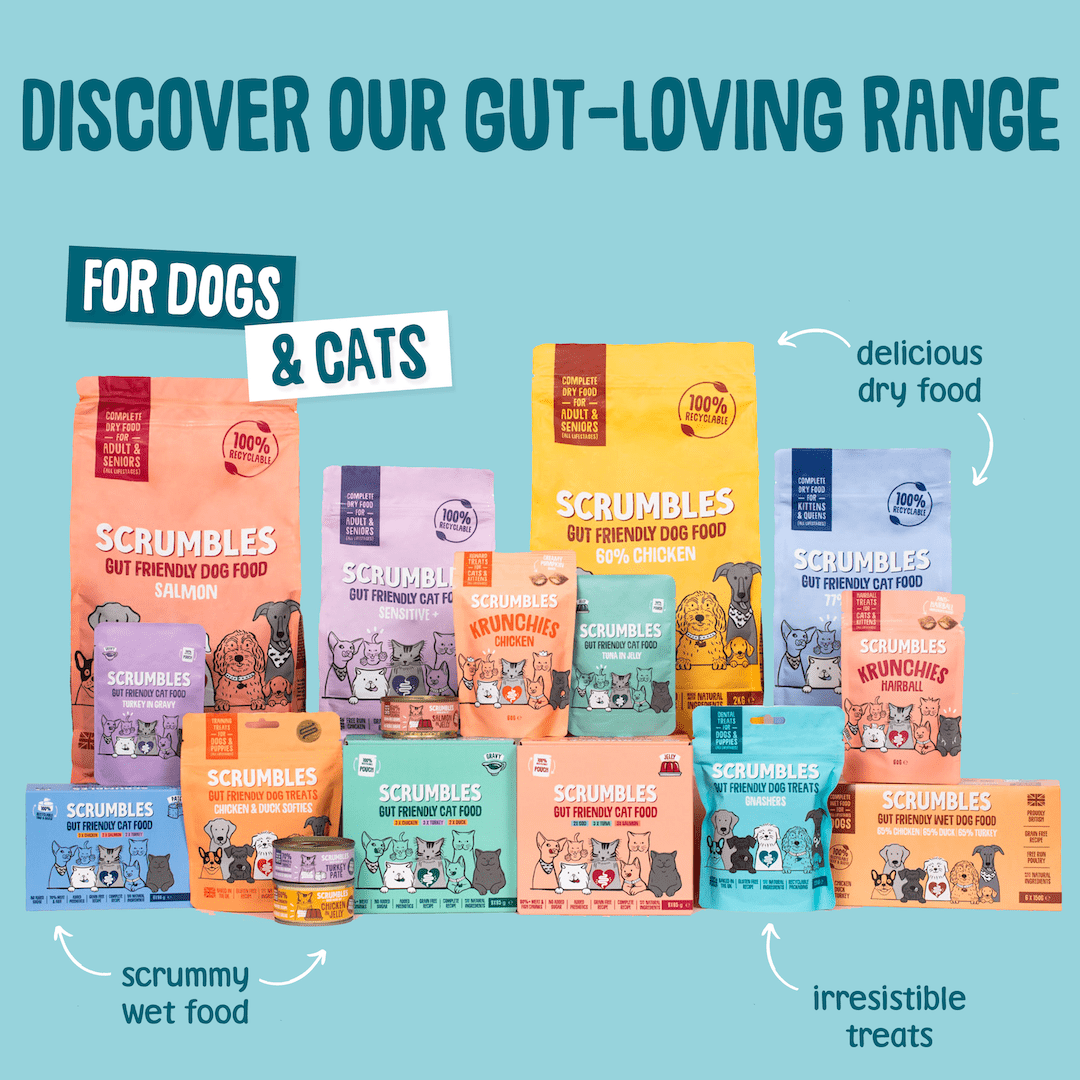 Gnashers Dental Dog Treats Range