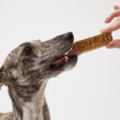 gnashers-plant-based-dog-dental-treats-natural-dog-treats-sensitive-dog-treats-dental-treats-0