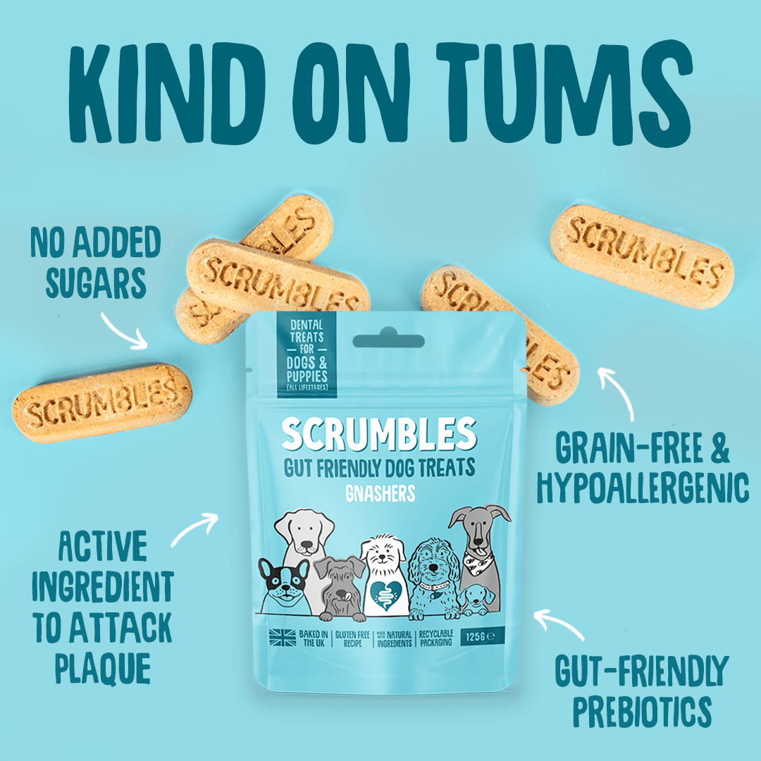 Gnashers Dental Dog Treats Gut Friendly