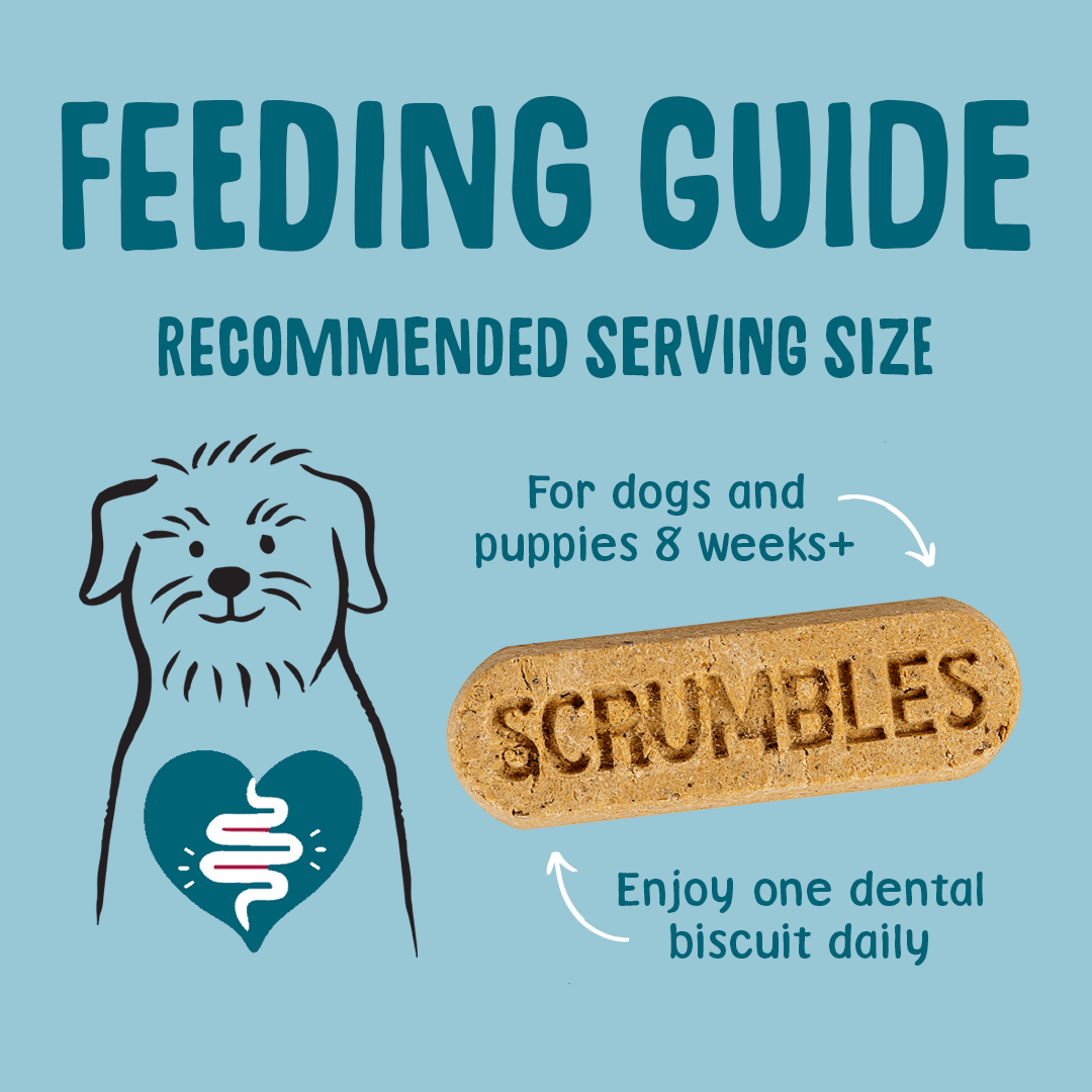 Gnashers Dental Dog Treats Feeding